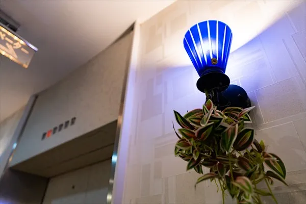 メンバーズ割引やお得なクーポンを毎月更新！